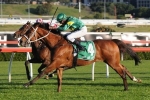 Waller Bullish About The Chances Of Moriarty In Eagle Farm Cup Waller Bullish About The Chances Of Moriarty In Eagle Farm Cup