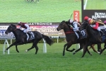 Sessions caps off great day for Darley by winning the Shorts Sessions caps off great day for Darley by winning the Shorts