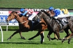 2014 George Ryder Stakes Tips: Red Tracer No Certainty