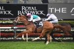 Finche is solid in 2019 Melbourne Cup betting