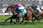 Prince Cheri Caulfield Cup Plans Suffer A Setback