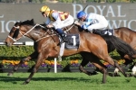 Shoot Out has quiet trial for Spring return