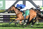Hartnell draws lucky number 7 in 2019 Doncaster Mile barrier draw