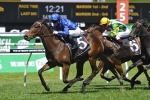 Jorda Wins Gimcrack Stakes on Debut