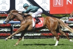 Khan Emulates Capitalist With Breeders’ Plate Win