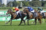 Russian Revolution Beats Stars in Roman Consul Stakes