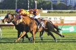 Doomben 10,000 Fancy Won’t Takedown Fell Swoop in Victory