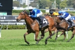 Calliope Overcomes Poor Start To Win Gimcrack Stakes