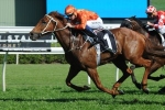 Terravista on track for Black Caviar Lightning