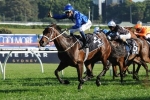 Gate 11 For Winx At Doncaster Mile Barrier Draw