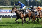 Gate 11 For Winx At Doncaster Mile Barrier Draw Gate 11 For Winx At Doncaster Mile Barrier Draw