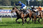 2015 Epsom Handicap Results: Winx Records A Very Tough Win