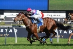 Famous Seamus Included In Challenge Stakes Field Famous Seamus Included In Challenge Stakes Field