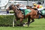 Hampton Court short of his best in Hobartville Stakes