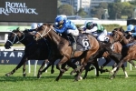 He’s Your Man Dies During Trackwork He’s Your Man Dies During Trackwork