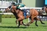 Three-Year-Olds Draw Poorly In Kingston Town Classic Barrier Draw Three-Year-Olds Draw Poorly In Kingston Town Classic Barrier Draw