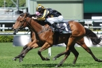 Lucky Raquie Could Miss Entire 2014 Spring Racing Carnival
