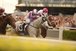 Manikato On The Cards For Premiere Stakes Winner Arinosa Manikato On The Cards For Premiere Stakes Winner Arinosa