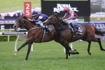 Seville Wins Metropolitan Handicap For Team Williams