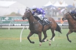 Whittington To Return In San Domenico Stakes Whittington To Return In San Domenico Stakes
