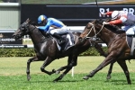 Baker Left With Goodfella for Magic Millions 3YO Guineas