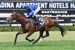 Mister Sea Wolf ready to attack Villiers Stakes