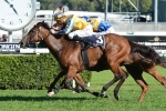 Neena Rock To Run Well Fresh In Breeders Classic