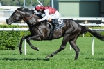 Complacent to Miss Australian Guineas
