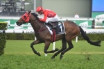 Redzel to carry top weight in 2019 The Galaxy