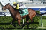 Champagne Cuddles chasing slot in The Everest with Sheraco Stakes performance