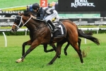 Coolmore Stud Stakes Betting Support For Counterattack
