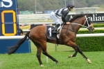 Counterattack firms in Doomben 10,000 betting Counterattack firms in Doomben 10,000 betting