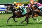 No Kingston Town Classic for Good Project