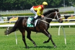 Australian Cup Autumn Target for Railway Stakes winner Australian Cup Autumn Target for Railway Stakes winner
