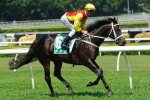 Australian Cup Autumn Target for Railway Stakes winner