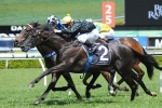 Excess Knowledge to improve up to 1700m in Heatherlie Stakes