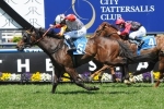 Best Case Chasing Maiden Group Win In Sandown Guineas Best Case Chasing Maiden Group Win In Sandown Guineas