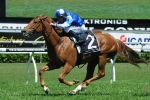 Capacity field of 20 for Villiers Stakes