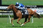Capacity field of 20 for Villiers Stakes Capacity field of 20 for Villiers Stakes