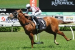 Heavy track won’t deter Run To The Rose favourite Star Turn