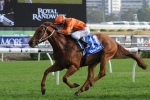 Terravista A Confirmed Festival Stakes Starter Terravista A Confirmed Festival Stakes Starter
