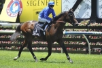 Coolmore Stud Stakes next assignment for Astern