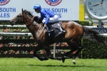 Astern odds on favourite for Silver Slipper Stakes