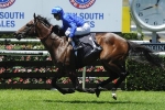 Astern back in contention for Golden Slipper Astern back in contention for Golden Slipper