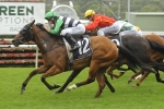 Canterbury Classic Next For Cradle Me Canterbury Classic Next For Cradle Me