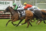 Canterbury Classic Next For Cradle Me