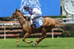 71 2yos remain in Blue Diamond Stakes at 3rd declarations