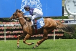 Extreme Choice new favourite for 2016 Blue Diamond Stakes