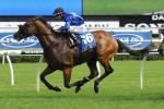 Happy Clapper Firming in Queen Elizabeth Stakes Betting