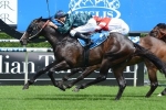 Northam Confident Mile Will Suit Odyssey Moon In Champagne Stakes